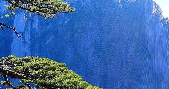 水下憋气世界纪录:水下憋气世界纪录：美女水下憋气训练引发悲剧