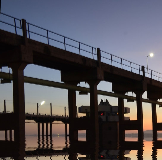 佳能电子股份有限公司