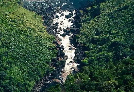 北京根网科技有限公司怎么样