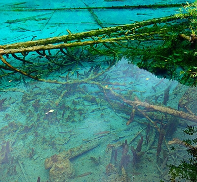 心美世界就美歌曲