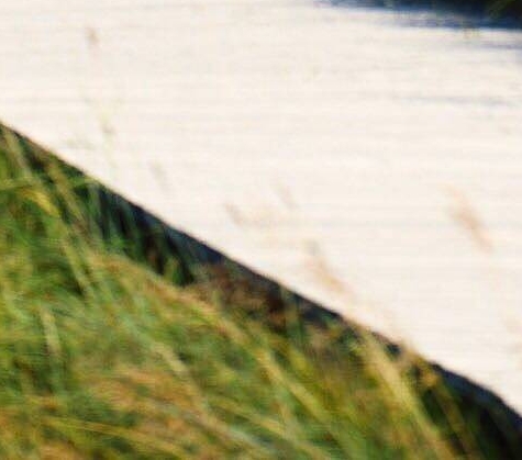 秀莲死后孙少安干嘛去了