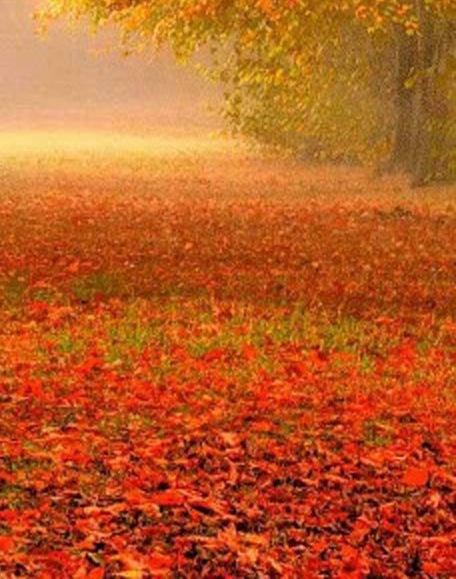 西方四大通讯社之一