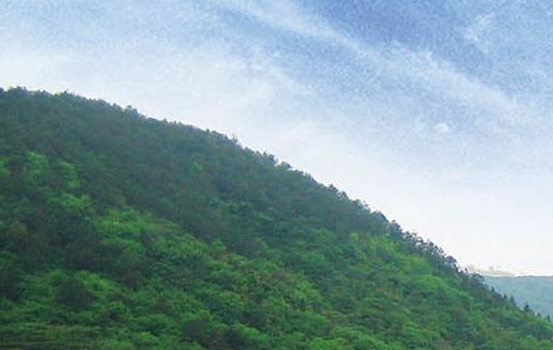 全世界最厉害的枪:全球最厉害枪榜前十，中国50种变态武器震撼登场！