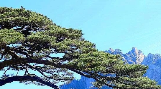 网盈科技服务及网盈是做什么的详解