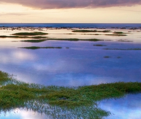 台冠电子科技有限公司招聘