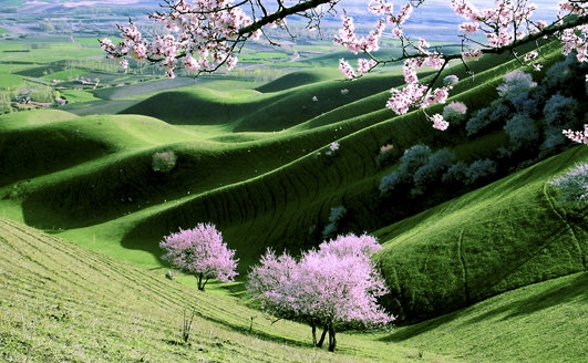 我的世界路灯怎么做