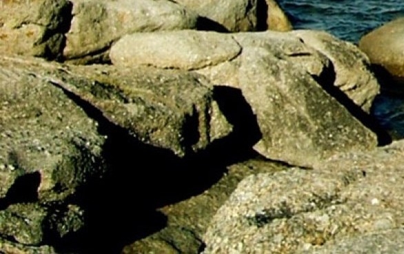 网易版有林地府邸吗