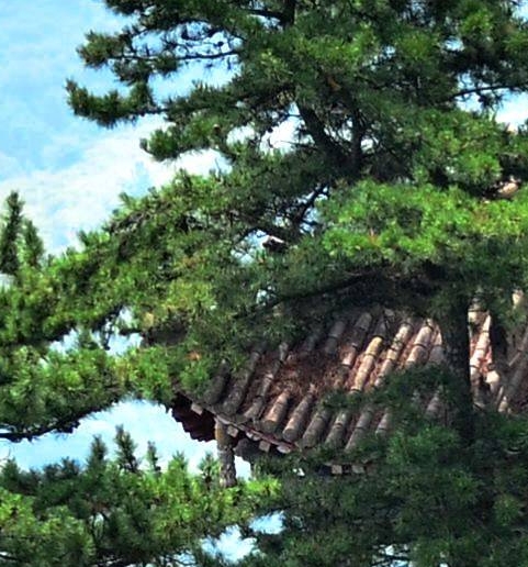 迷你世界铁门怎么开关:迷你世界铁门开关的限制与操作方法