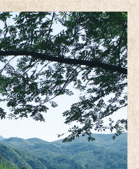 天津海昌极地海洋世界表演时间