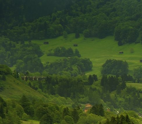 完美世界至尊道场是不是至尊殿堂