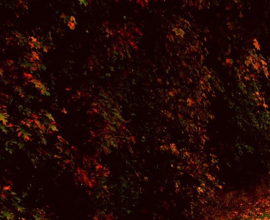 这个世界是充满矛盾的