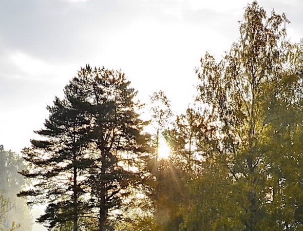 感恩的心童声合唱