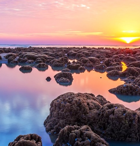 人皮娃娃吓死了多少人