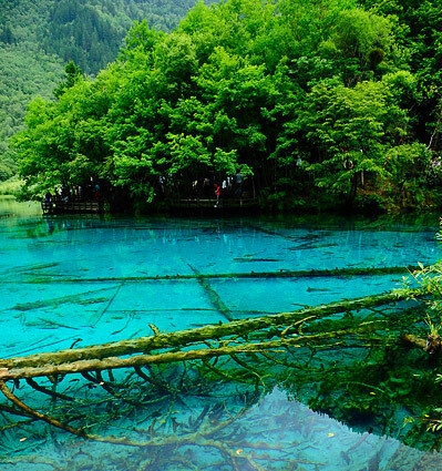 东湖高新收购美格科技公司