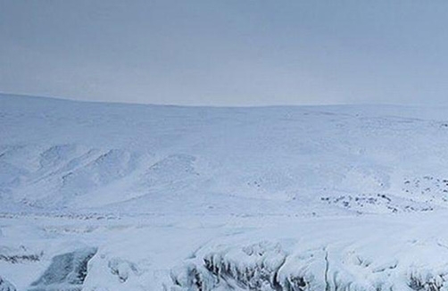 安利在美国的排名