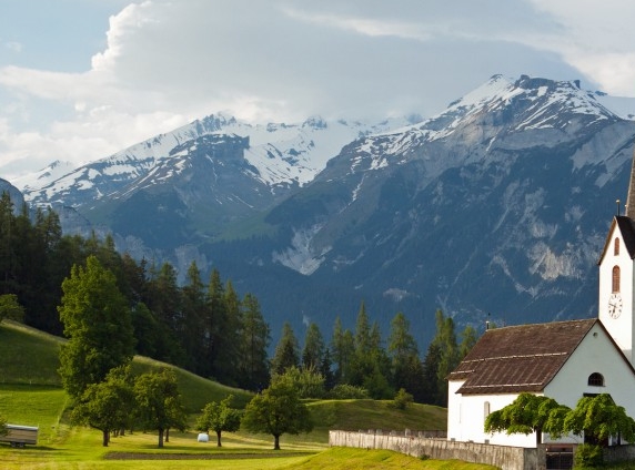 世界上最大的章鱼