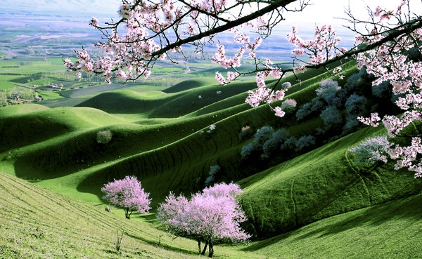 数码宝贝的世界叫什么