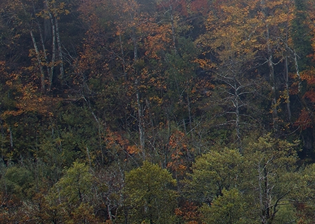 武汉海达数云技术有限公司怎么样