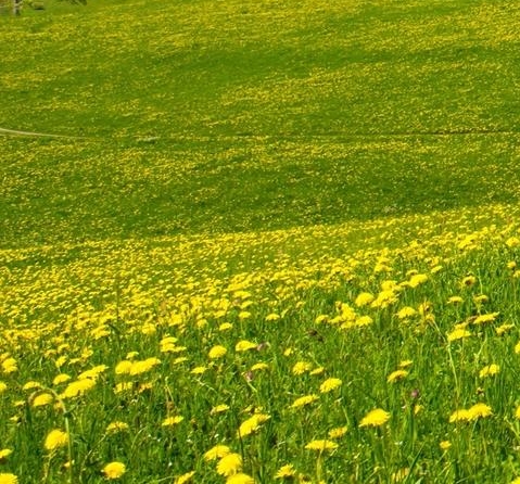 我的世界恐怖视频少轩解说