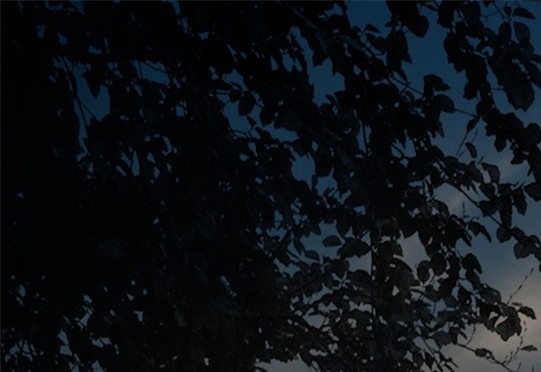 我的世界金矿石在几层