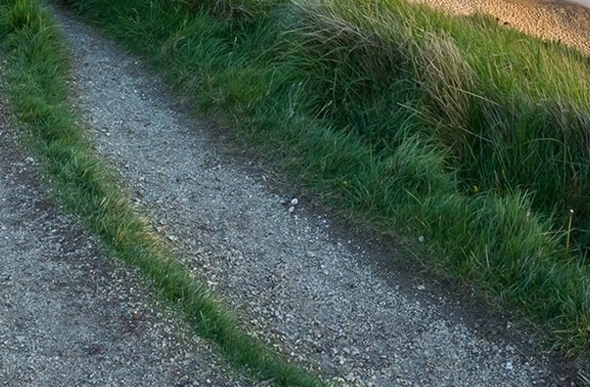 世界第一等李宗盛简谱