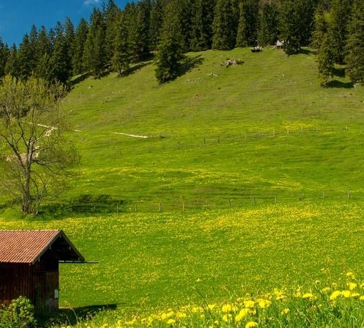 西安电子科技大学是几本院校