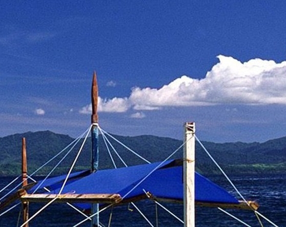 世界歌手排行榜100名