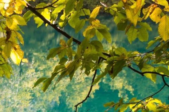 西安电子科技大学大专几年