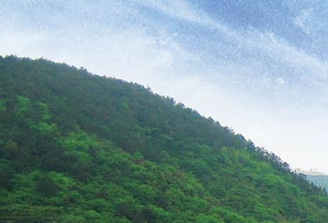 在世界尽头等你漫画