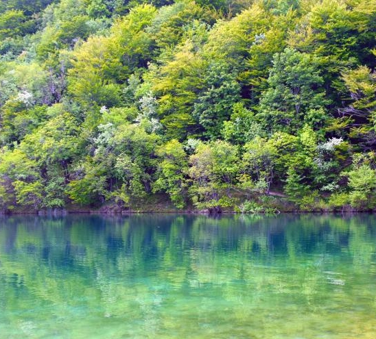 完美世界至尊道场来历