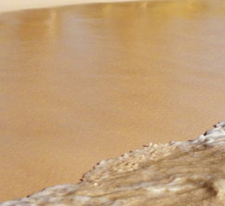 我的世界兔子吃什么繁殖