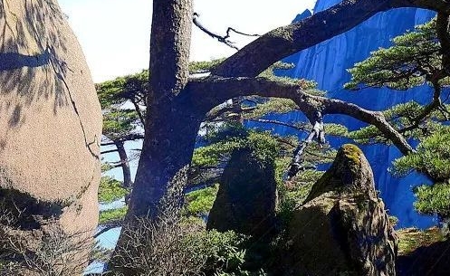筑想科技