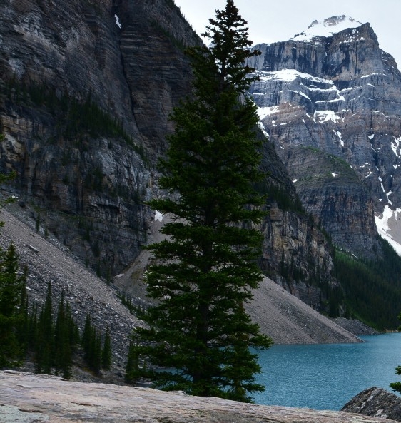 西方哲学的三大奠基者