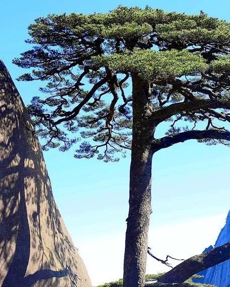 世界上有没有幽灵岛