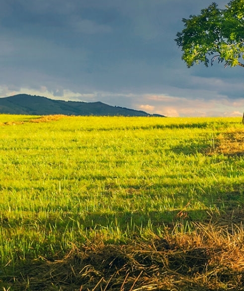 我的世界弓箭玩具