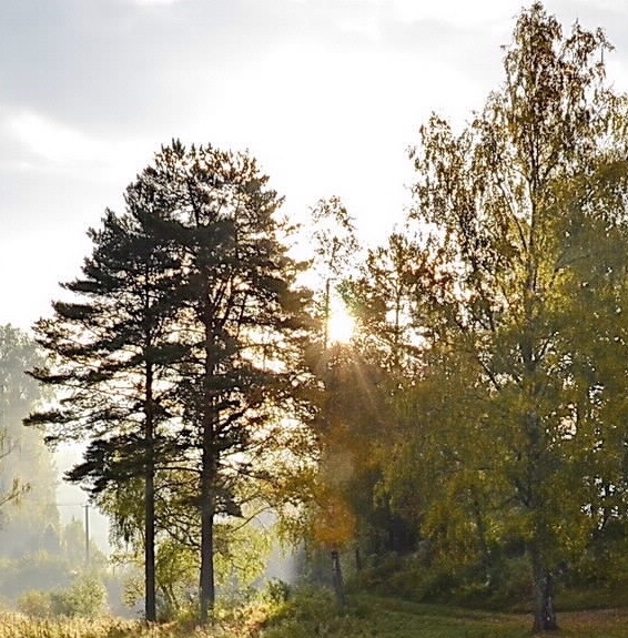 平凡的世界胡永洲