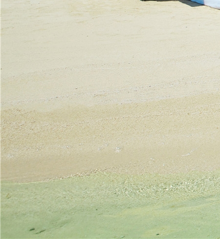 儿歌大全100首连播放恐龙世