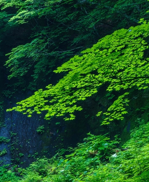黑科技是什么意思
