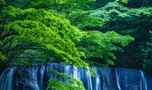世界最大的超巨型油轮