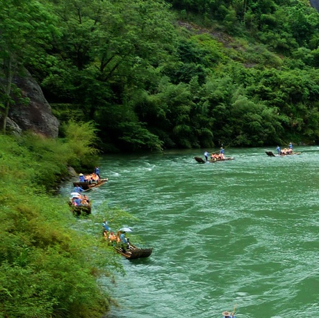 3d动物世界陆地版下载v1.3