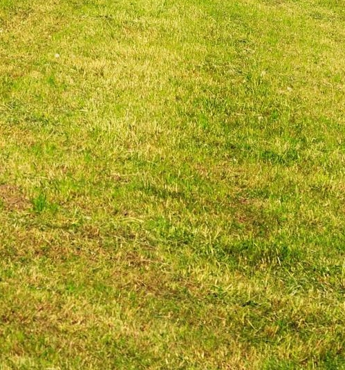 北京丰台科技园好玩吗现在