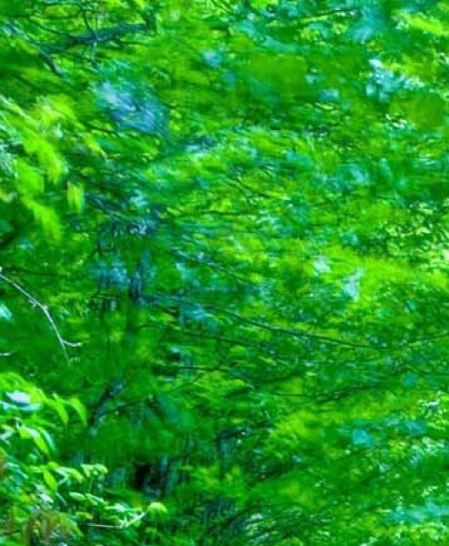 西部世界2电影狙击