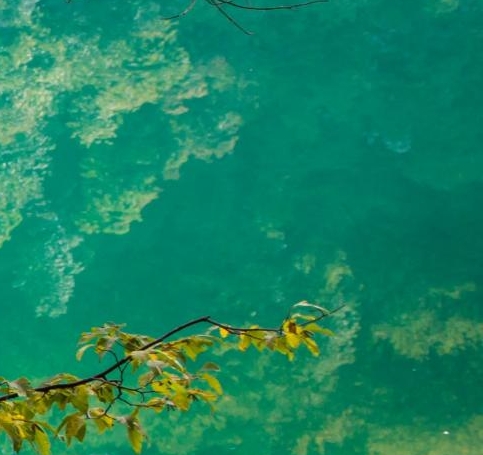 美术《海底世界》