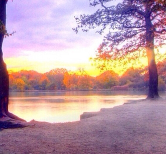 完美世界之帝路行