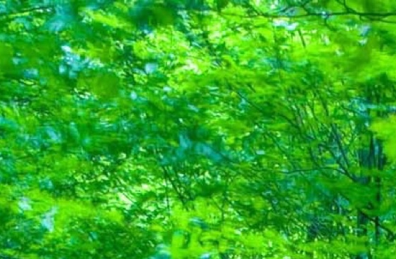 大家都在讨论的浙江科技学院经管学院跟浙江科技学院经管