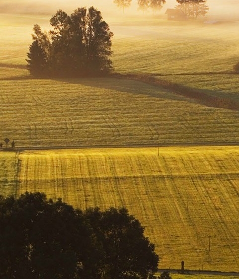 直至世界的尽头 中文版