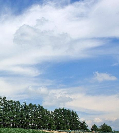俄罗斯大学留学费用一览表
