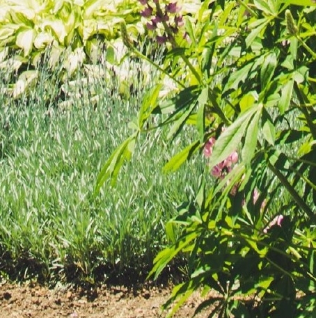 诺盾科技有限公司是正规公司吗