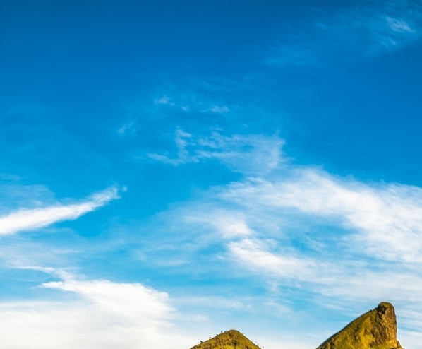 无情的世界有情的你快四