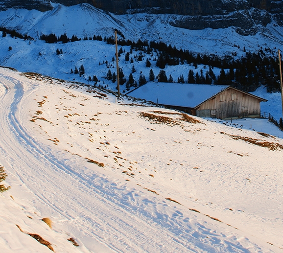 播放歌曲无情的世界有情的你